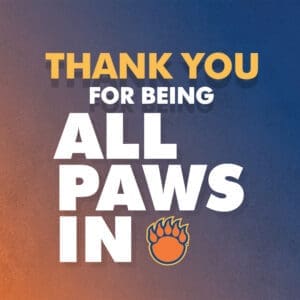 All Paws In Appreciation image