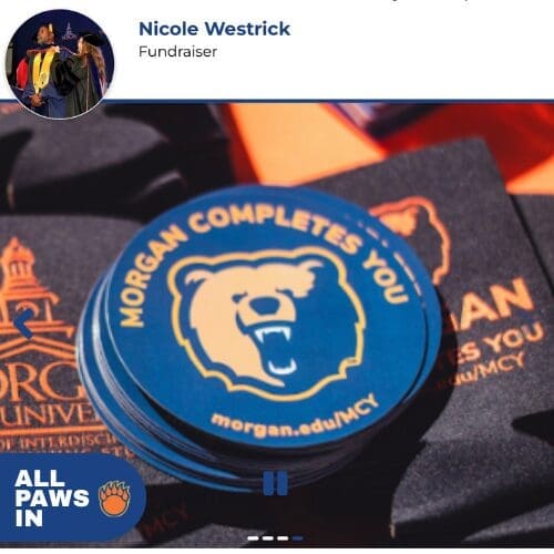 All Paws In Appreciation image